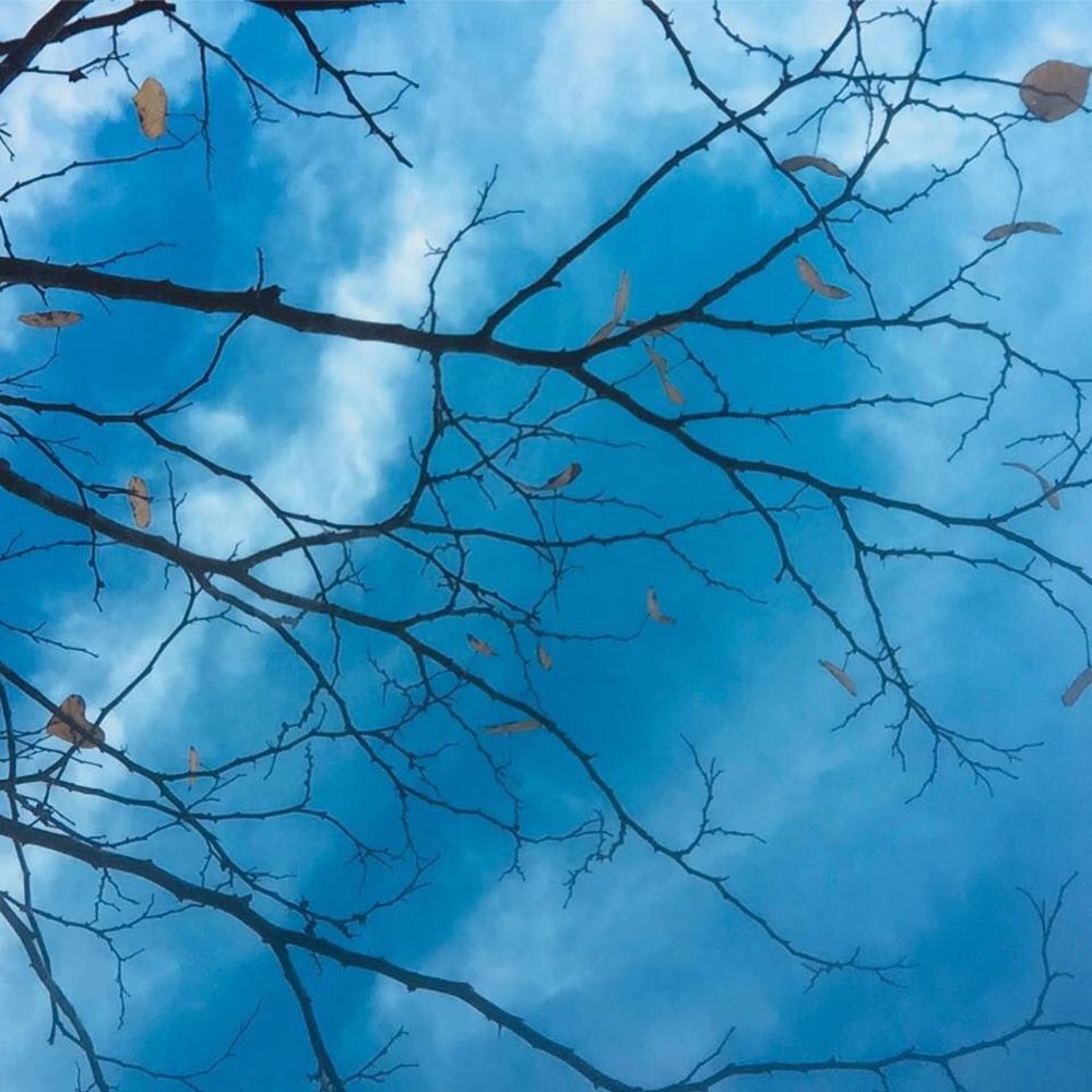 Meet your Posher, Denise